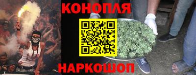 спайс Обь