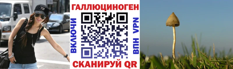 Галлюциногенные грибы Cubensis  omg как зайти  Соликамск 