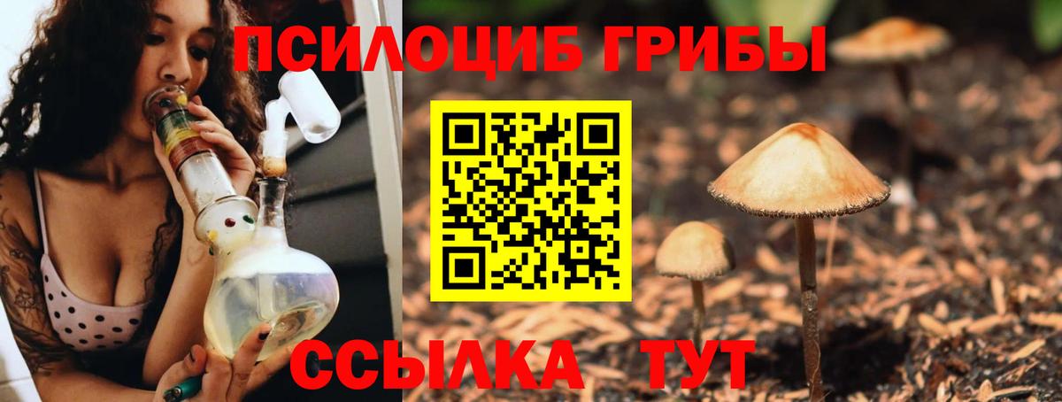 Соликамск  Галлюциногенные грибы Magic Shrooms  Вход с VPN 